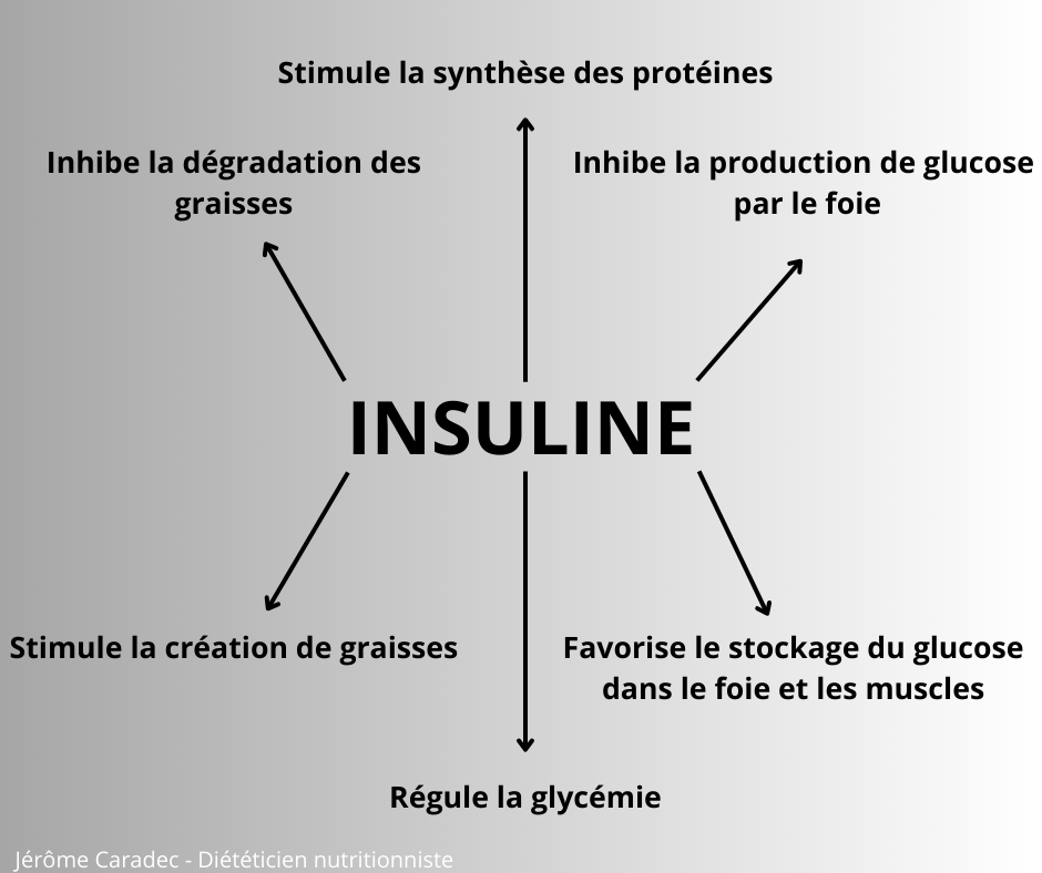 Le rôle de l'insuline par Jérôme Caradec - Diététicien nutritionniste