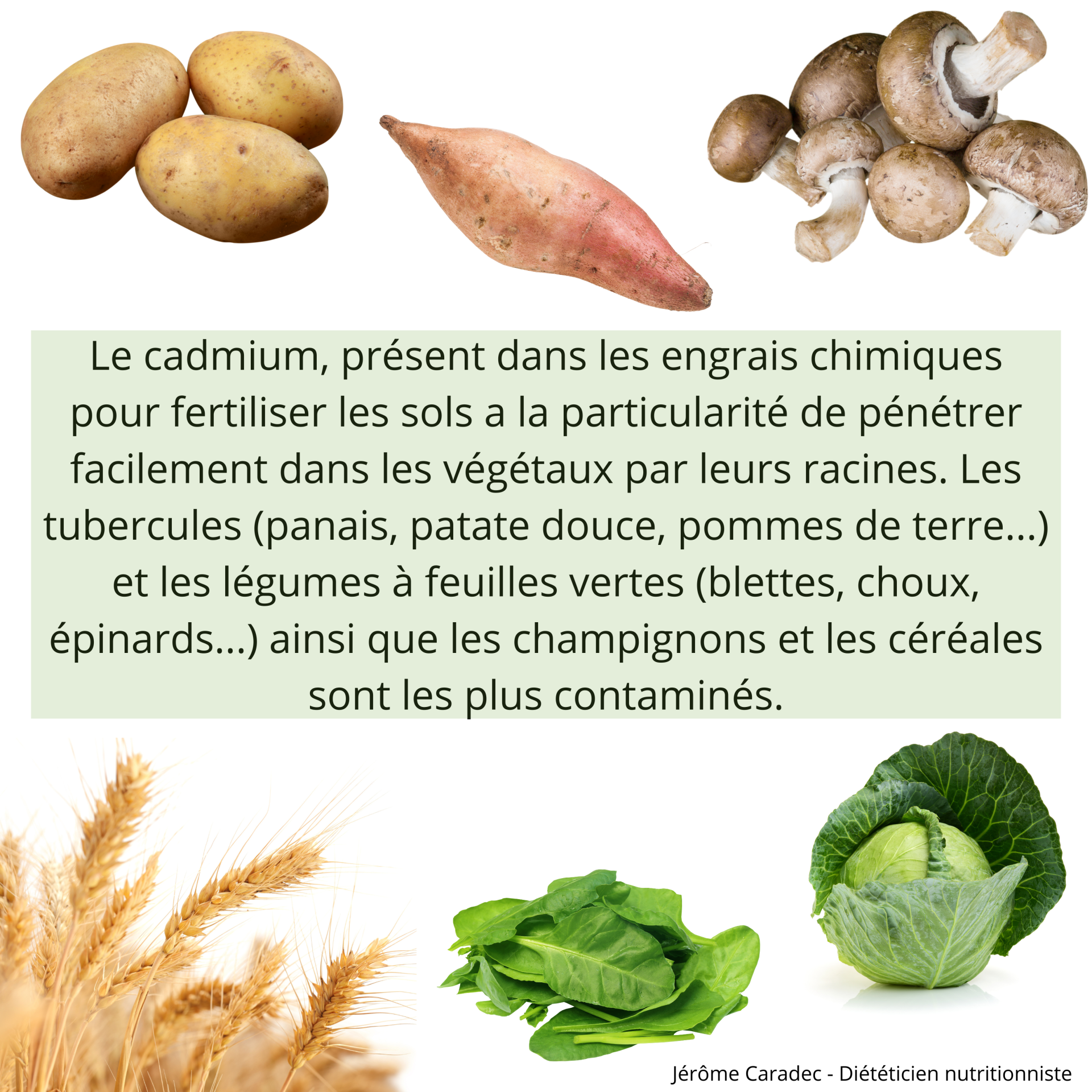 Légumes verts, tubercules et céréales contaminés par le cadmium par Jérôme Caradec - Diététicien nutritionniste