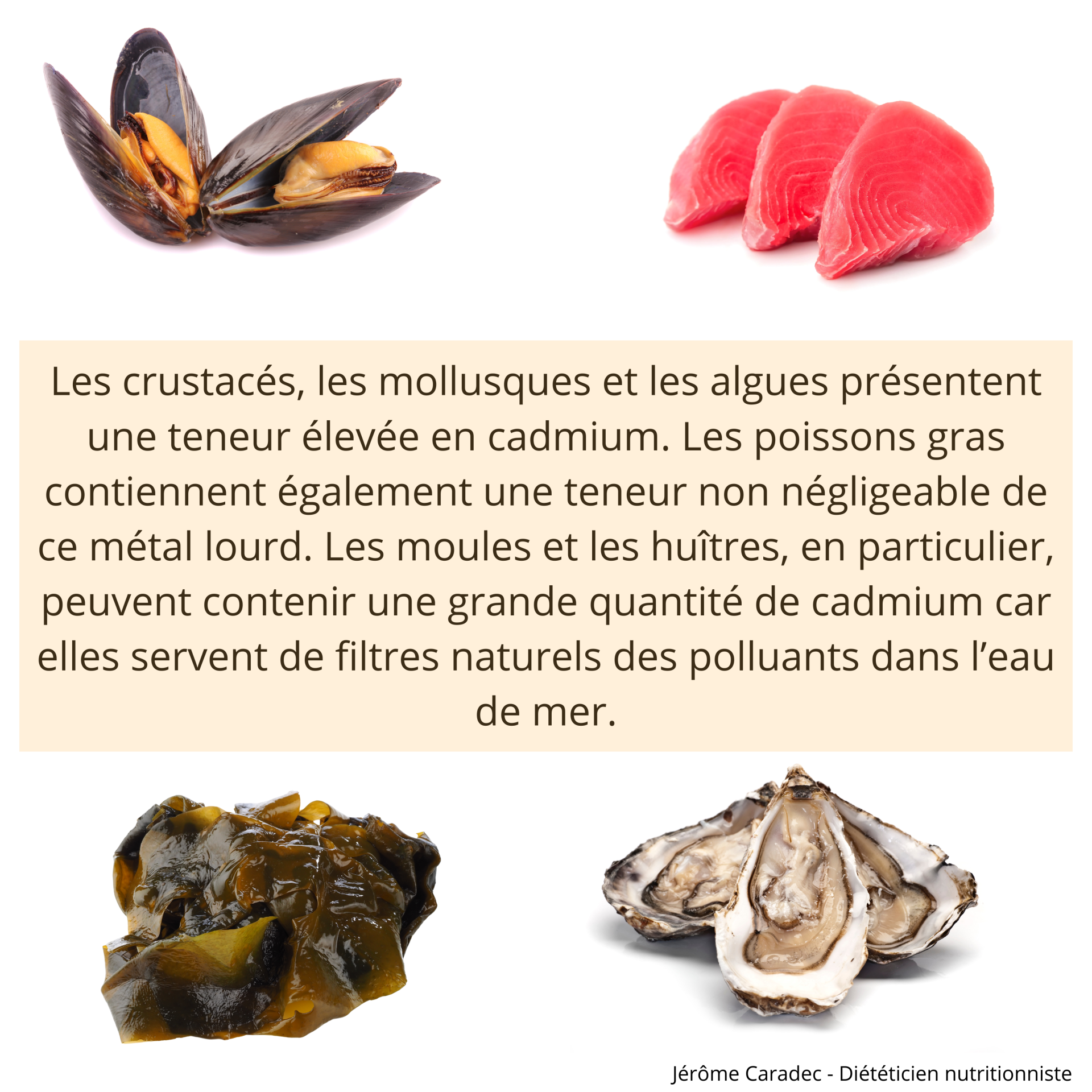 Les crustacés les mollusques et les algues contaminés par le cadmium par Jérôme Caradec - Diététicien nutritionniste